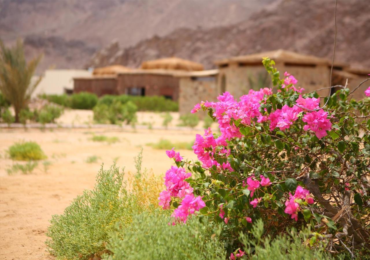 Safari Beach Nuweiba` エクステリア 写真